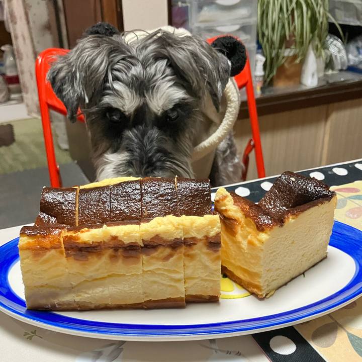 Dcdcd6e6 a63f 43e2 ae97 e9c28df72cfe 1772327800643