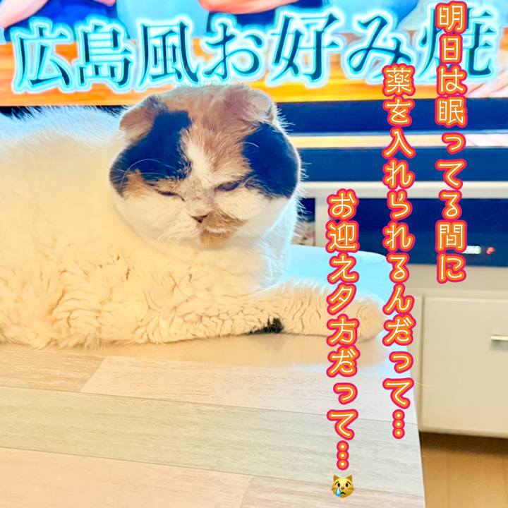 Dcdd0494 1883 4022 8f87 be6ea5a57265 1759546212831