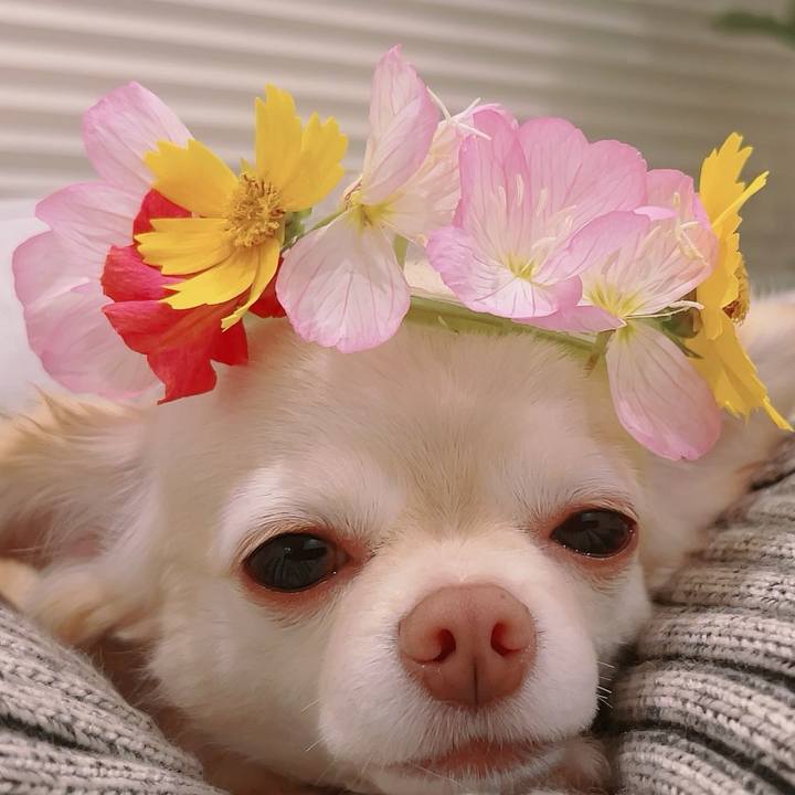 Dcdd3b27 bb80 4b8a 967e cb96236427ca 1688108439723