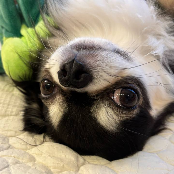 Dcdd5df1 8822 4610 bf84 77d21e22e7a4 1748702034330