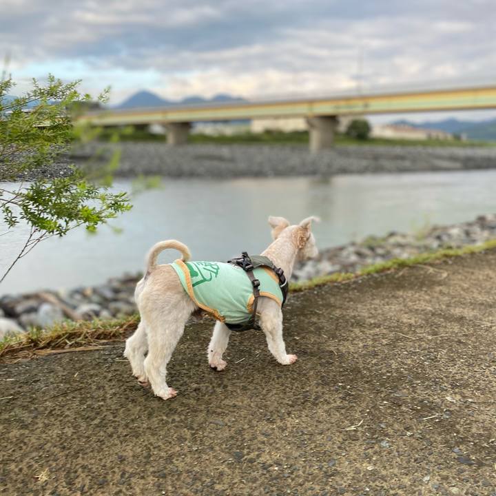 Dcdd8ca8 2285 4363 886d b59377747c72 1631245096252