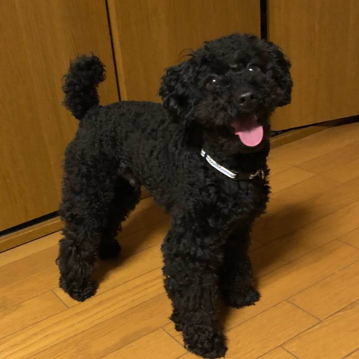 Dcddc593 9be3 4df1 89f7 cd4a07dacbd7 1523103095287