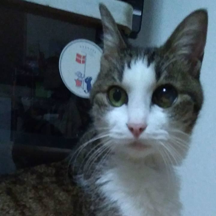 Dcddd2ac 35de 47f1 a76b 01f9f4308e24 1522677745619