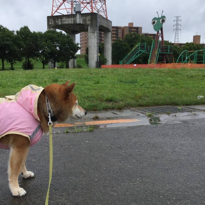 Dcdde275 f918 48cb a5fd 386b547aa1aa 1592541134171