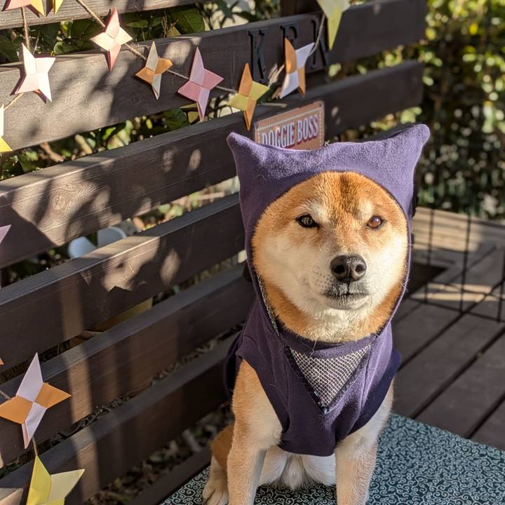 Dcde907a f138 4d97 817b 2edfd4c39691 1739316353966