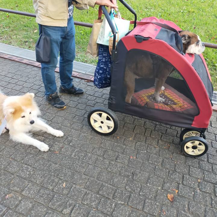 Dcde938b 5963 4ac1 aa74 fd05b739f7a7 1666016163820