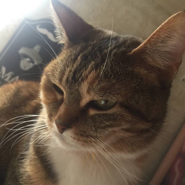 Dcdea889 cb0d 4a78 acc5 673288655488 1550026417430