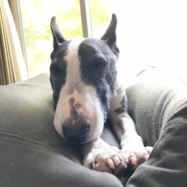 Dcdee528 3dca 453c a6e8 6534bd66d063 1524372592576