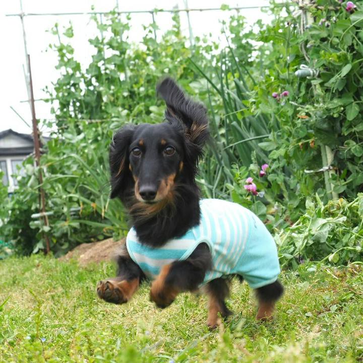 Dcdf0548 520a 4559 95c9 20c623bff48a 1556518202881