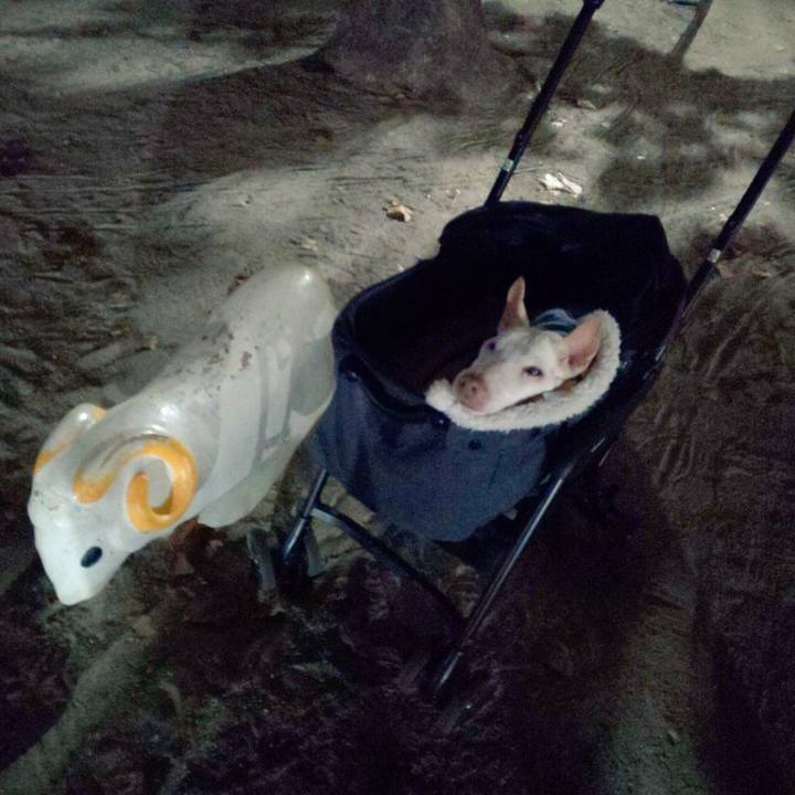 Dcdf2010 3467 45d9 9c50 0b373f047b72 1605781374856