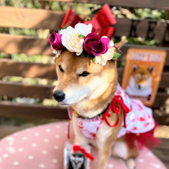 Dcdf254e 912f 422a 842c dc11e37c4d75 1613280132228