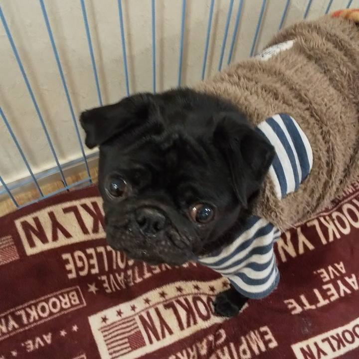 Dcdf726d cbcc 4a0c a4a8 9f44162e477f 1574168580093