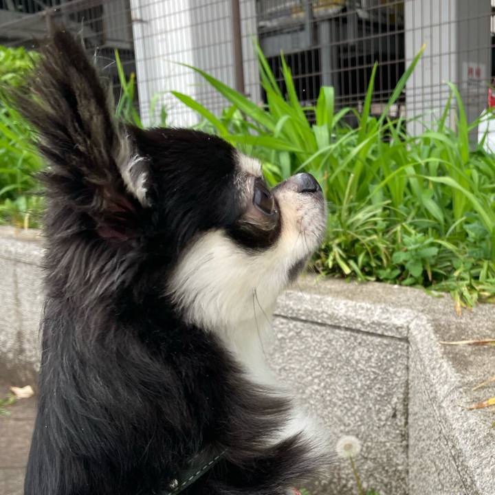 Dcdf75dd 218f 4500 ab2f 88105a136a62 1618636782168