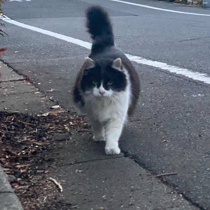 Dcdfaa83 7dad 4ec2 8be6 7e3a9b79e9b4 1611627250044