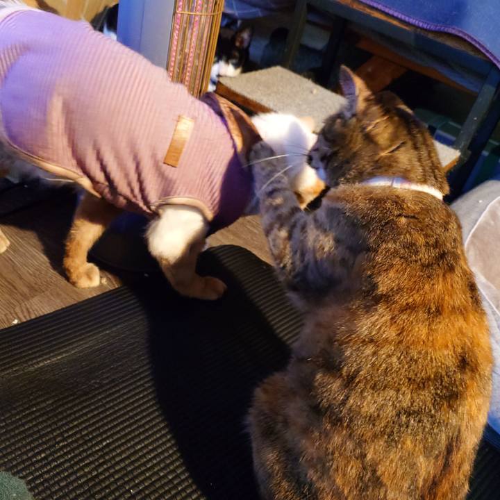 Dcdfb264 708b 48cc 978d faf2eb426b96 1773130665533