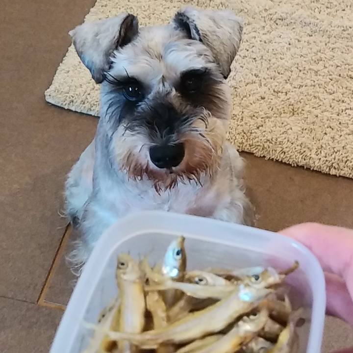 Dcdfc8e5 148f 49e2 a758 e31dcf47287f 1599353928347