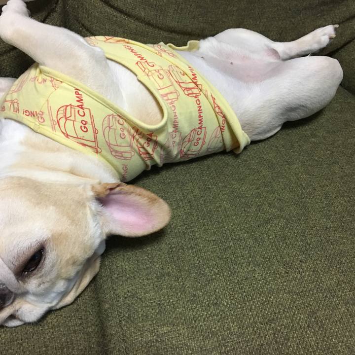 Dcdfcc5e c545 4af1 95a8 658bc0b97fbf 1526043255387