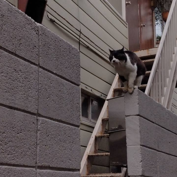 Dce010dc e9e3 4164 b41c 23531f77cb50 1708155645687