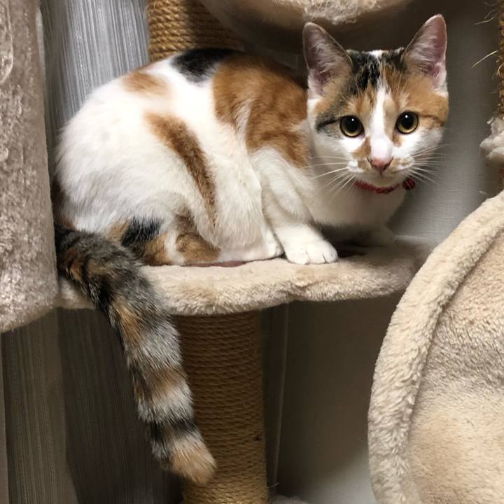 Dce0147d 5b7d 457a 9c64 e7fa5fb73c52 1576076126908