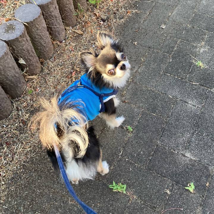 Dce0429f 4e1d 48cd a9df 14a54d9b4004 1690728984932