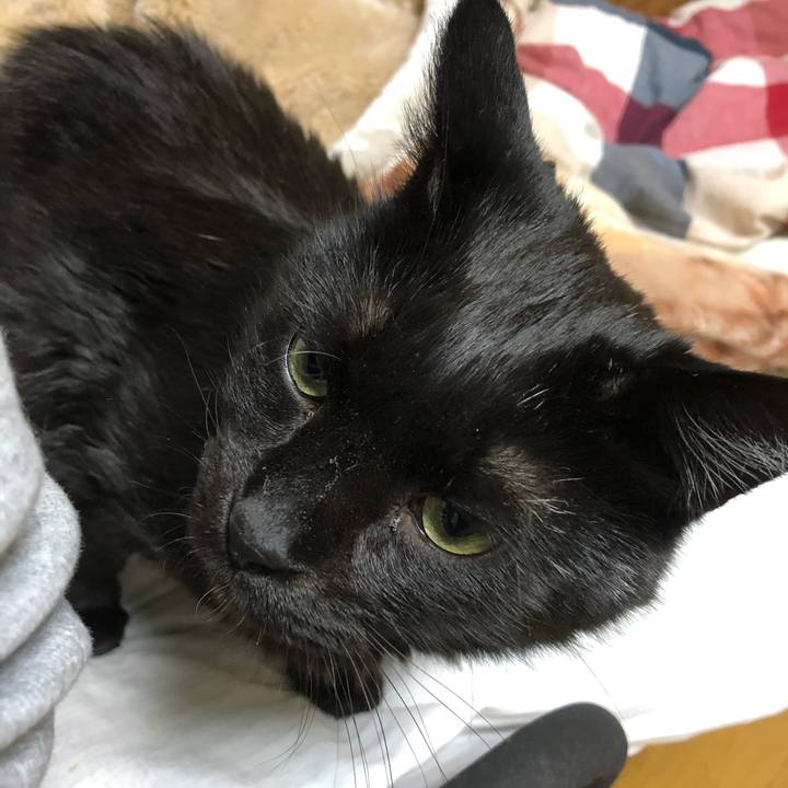 Dce05fe2 3461 4481 ba02 0e8db63811c1 1583182701320