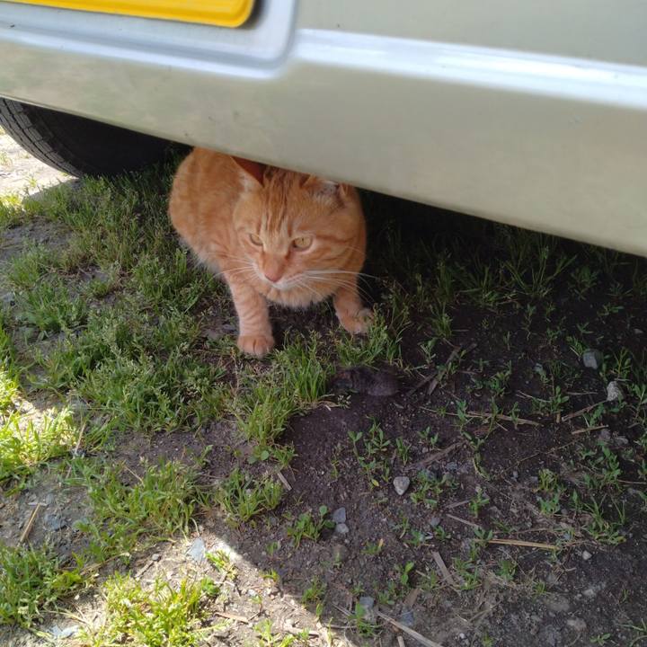 Dce08b46 a9bf 41e8 a8df aa0ae3e3e8d6 1684639934033