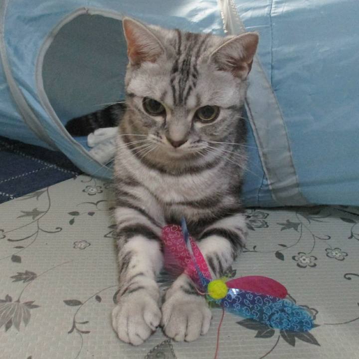 Dce09fe1 16b6 4c16 9d0a d6a6f73f8406 1559217196881