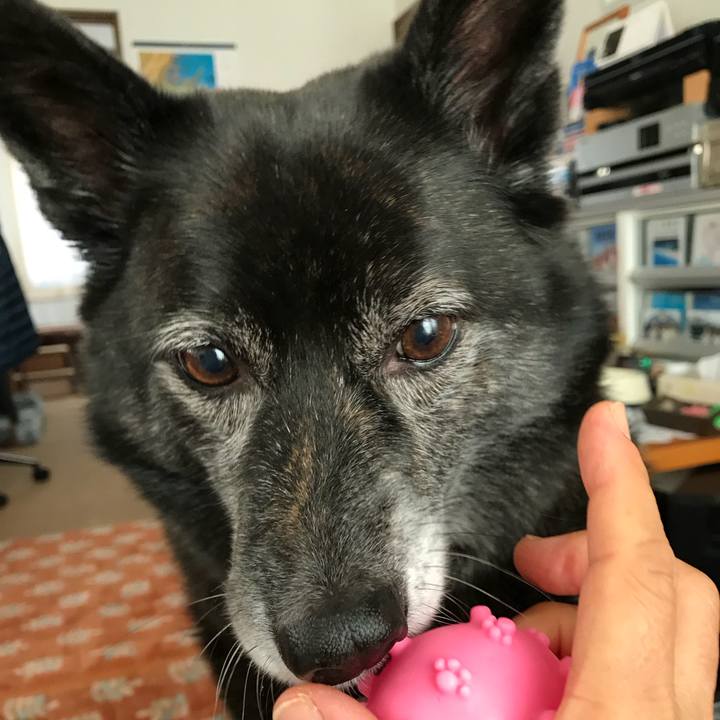 Dce0d1be 9574 4a4b 8e8a f1236abd2807 1513127218126