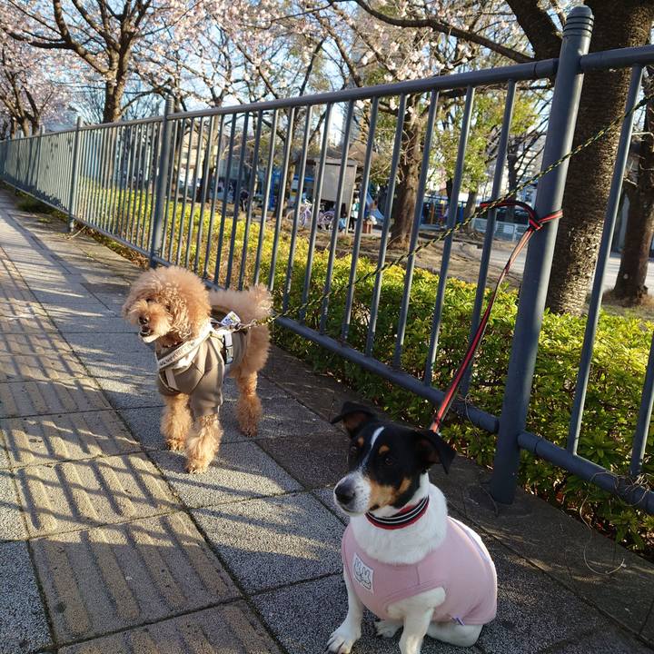 Dce1382c 8f14 4573 ab2a 9d23df807153 1710408694937