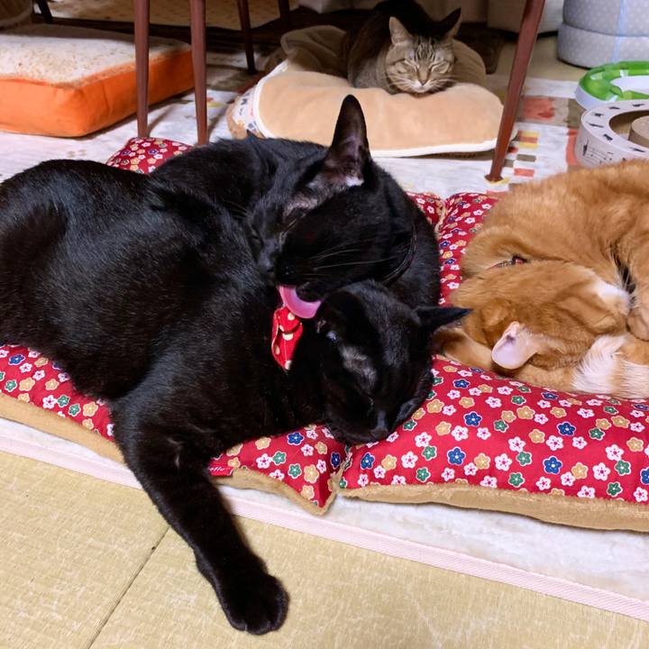 Dce18fbe f656 49f1 b347 83f6f55339d0 1573476936344