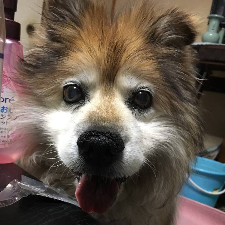 Dce19780 5368 4056 a3e7 69446eee3b1f 1559817112162