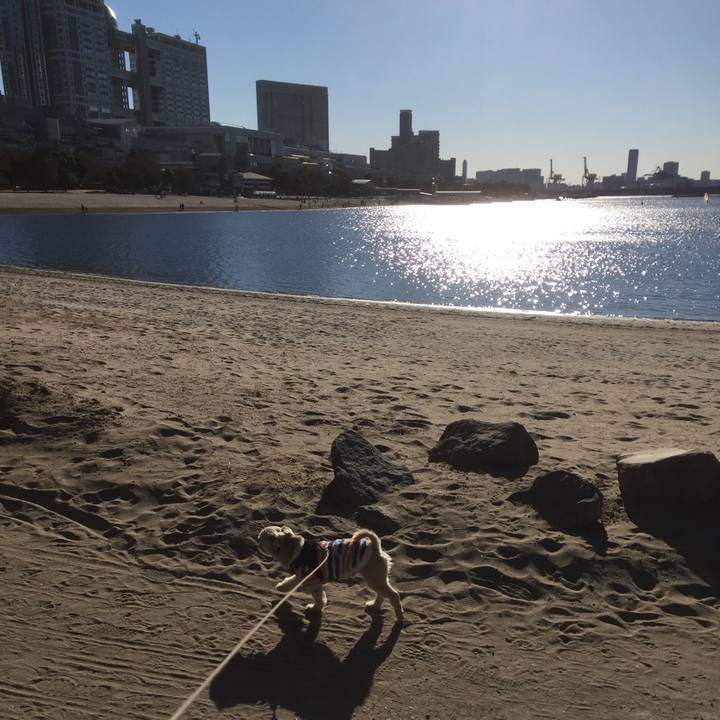 Dce1a5ef b14d 4c5d 9c55 0b44bc95c65a 1548584550635