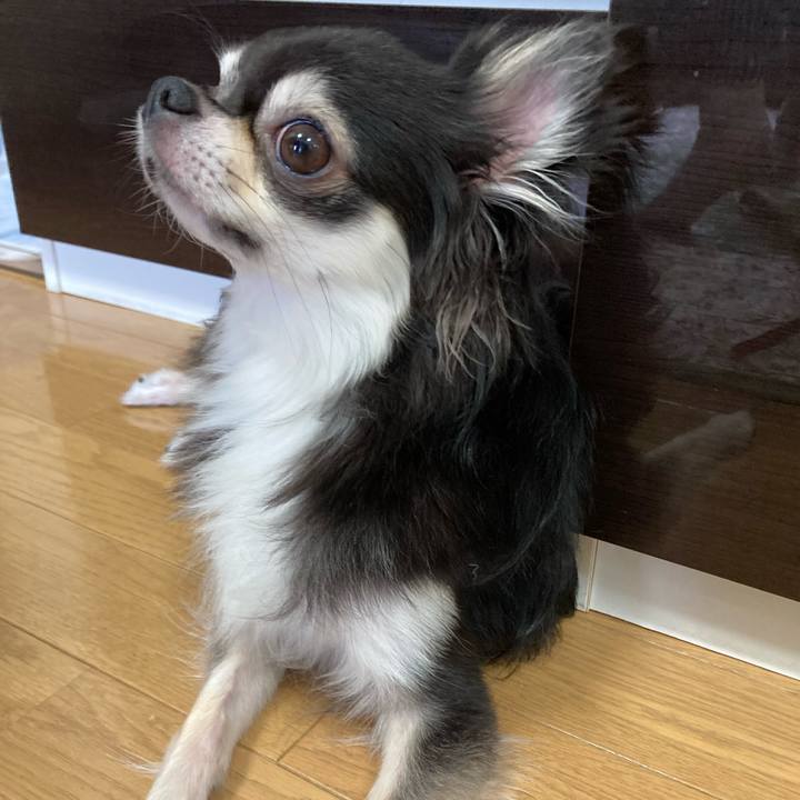 Dce1d44b 3854 45dc b4b7 c07c12e4f1ca 1662792055294