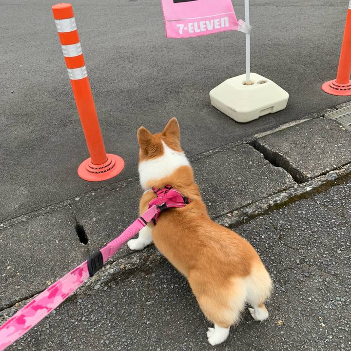 Dce1db8e be8f 4959 a0ea 0c3c886c9658 1661210618571