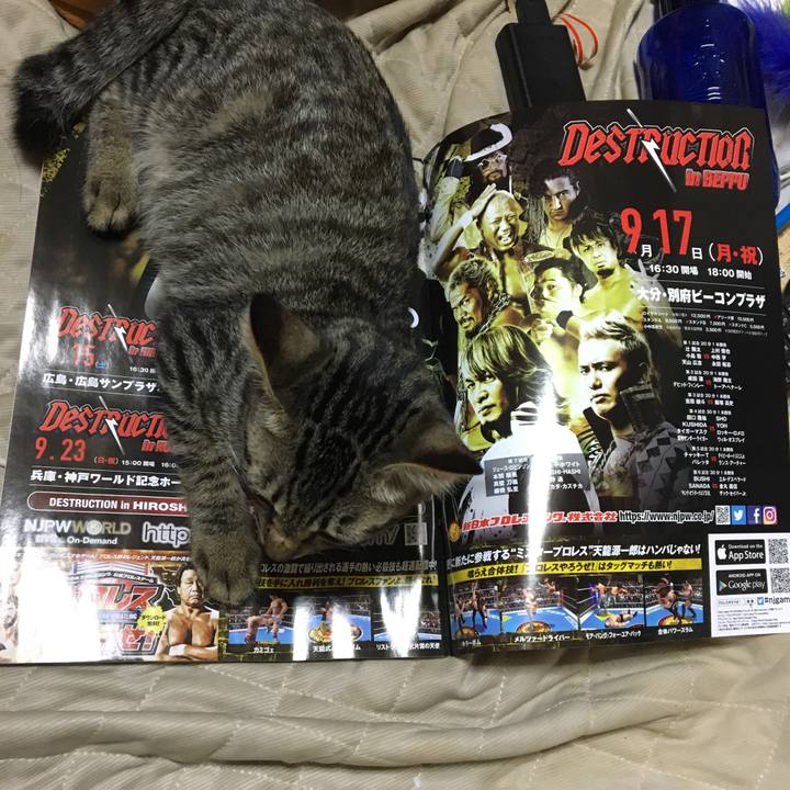 Dce1de65 28e1 4ef5 934b 7372d5d7b9b2 1536833291802