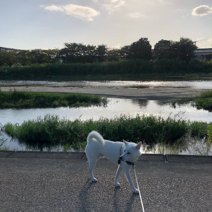 Dce1f371 0f45 40be 8574 f5d2a2184f0c 1568850514478