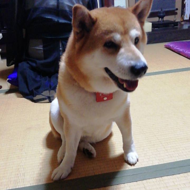 Dce205ee 85e2 49c8 b898 9b03906dafff 1597446459442