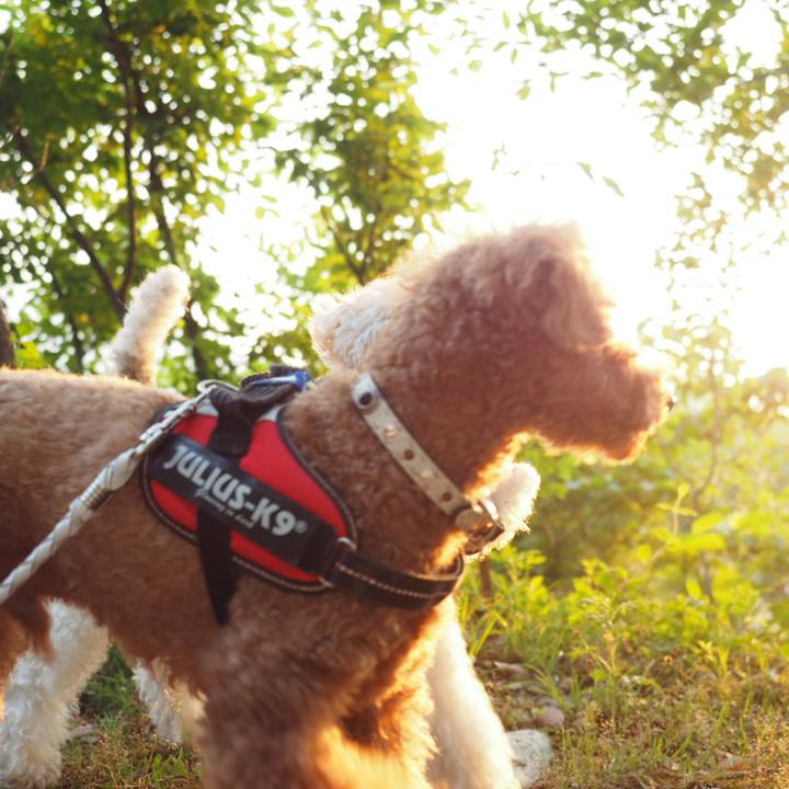 Dce21743 ce07 4e59 9e48 f1ac681416ae 1559314193539