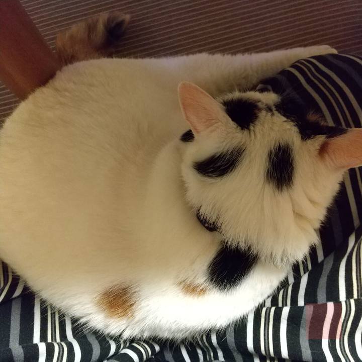 Dce226f6 bd89 40f7 8b9e 5bf2f09e92e3 1599137318529