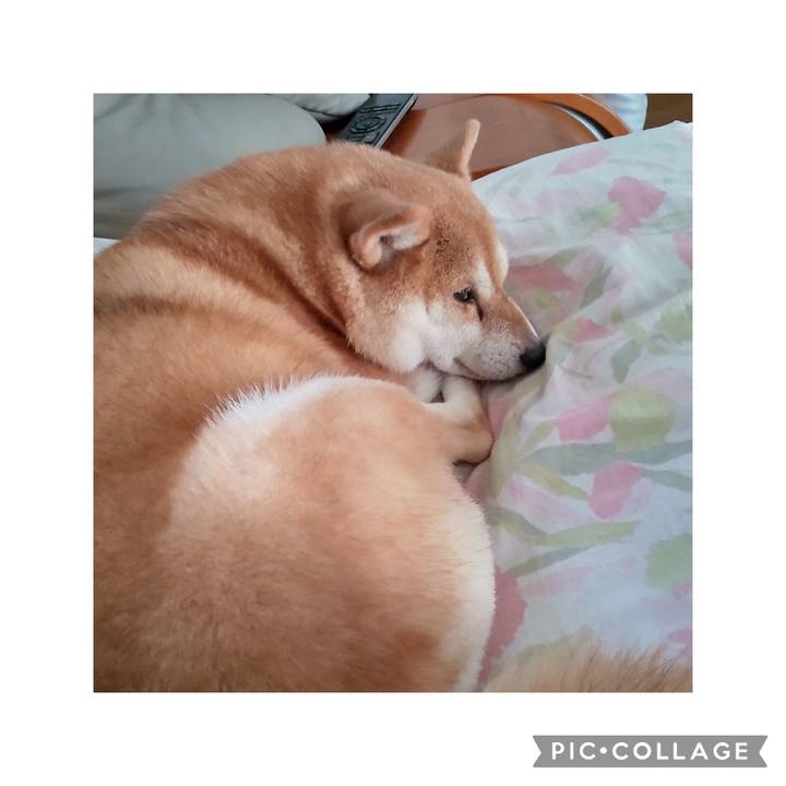 Dce22f22 b3bb 4b11 a4c9 17e631c9da5d 1755824303558