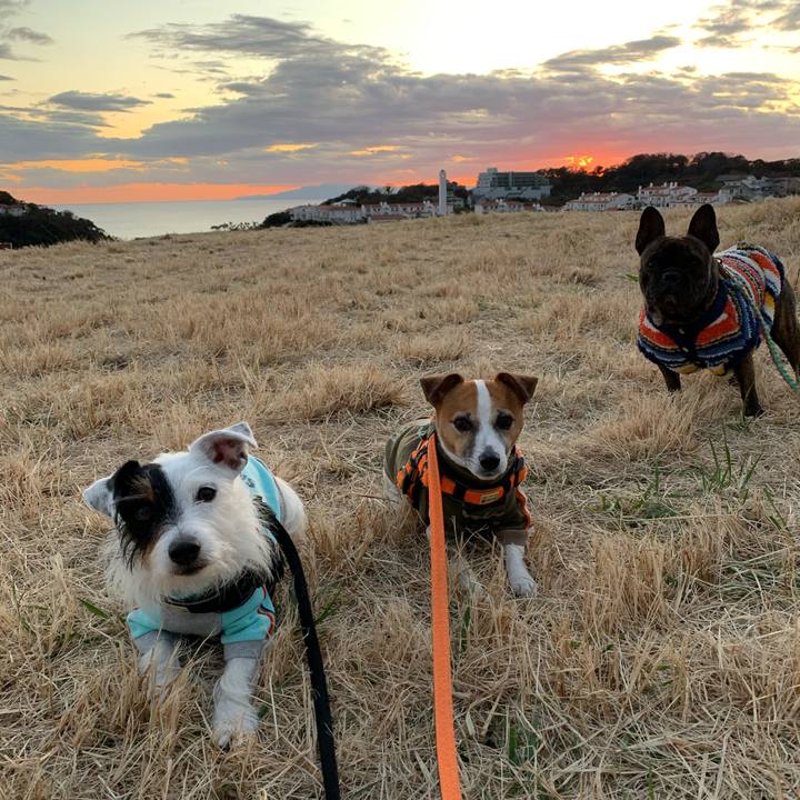 Dce240cd 79a6 43af 8965 a0ac335d76f9 1578559782167