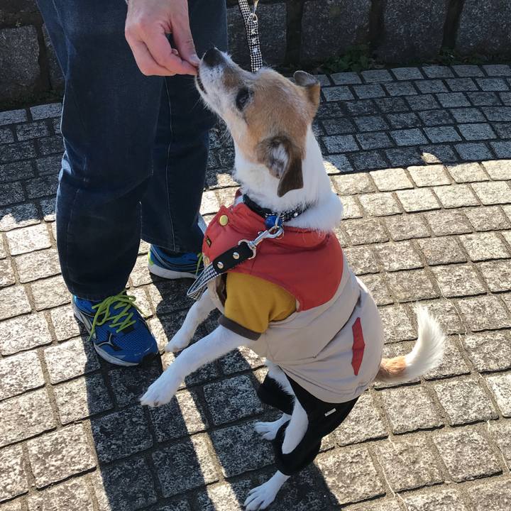 Dce268ca 1011 4377 9819 848ec5567db6 1578039889044