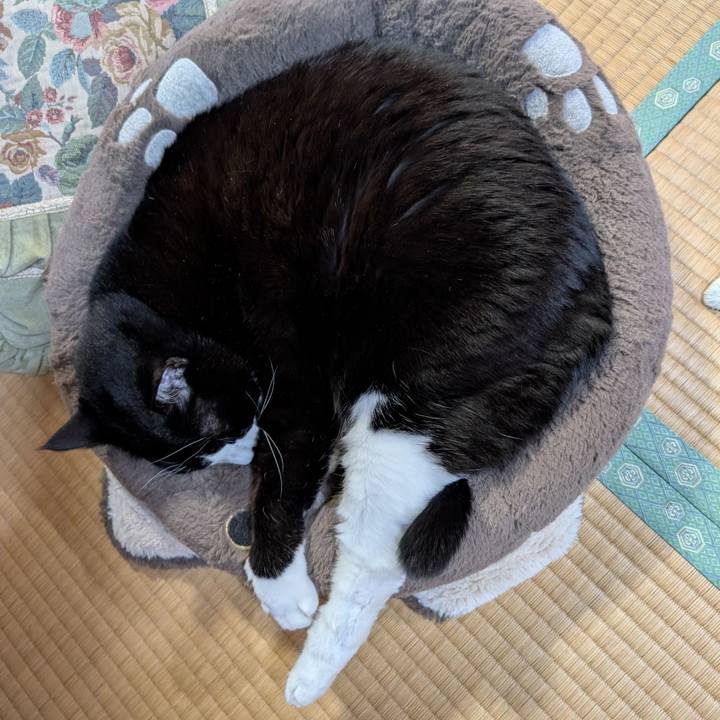 Dce28539 89a8 4d98 a333 820496ec1aeb 1765925339873