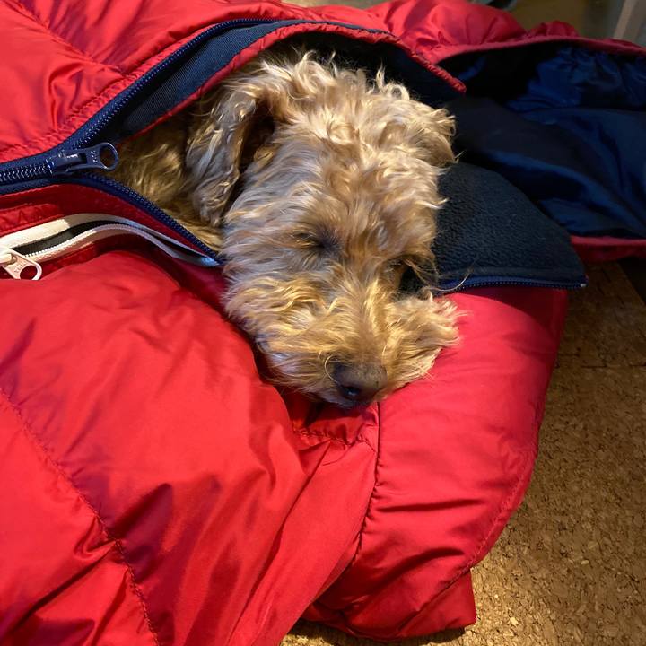 Dce2aefe b44d 4f50 8e6d f56ab5df87ce 1673514915427