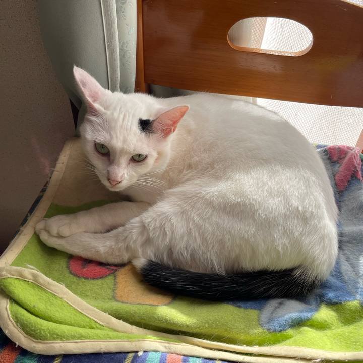 Dce344b9 b310 48f7 b195 de17051b30e9 1763699744246