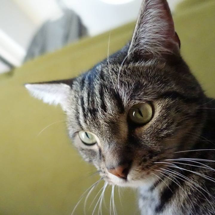 Dce352b2 b162 4642 92bc 2ac7259f0ea7 1519881270154