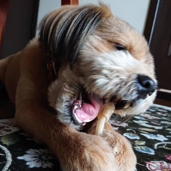 Dce37aa4 e579 402b af33 85b4f46278db 1556786725980