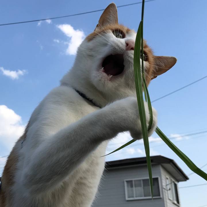 Dce38645 fcdc 4ce3 b567 0039a67d30fc 1525523534656