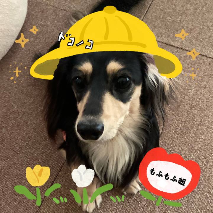 Dce3949a a284 47f6 bb40 ed9d543b6298 1712202731484