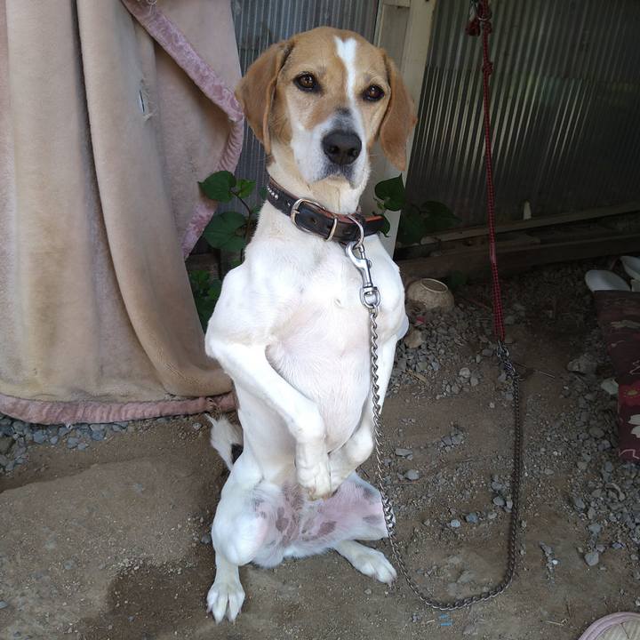 Dce39ed5 d50c 46c9 9314 b83fada6be3f 1651909741810